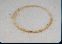 Countertop burn mark repair and refinishing in Calgary