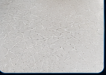 Countertop scratch repair and refinishing in Calgary